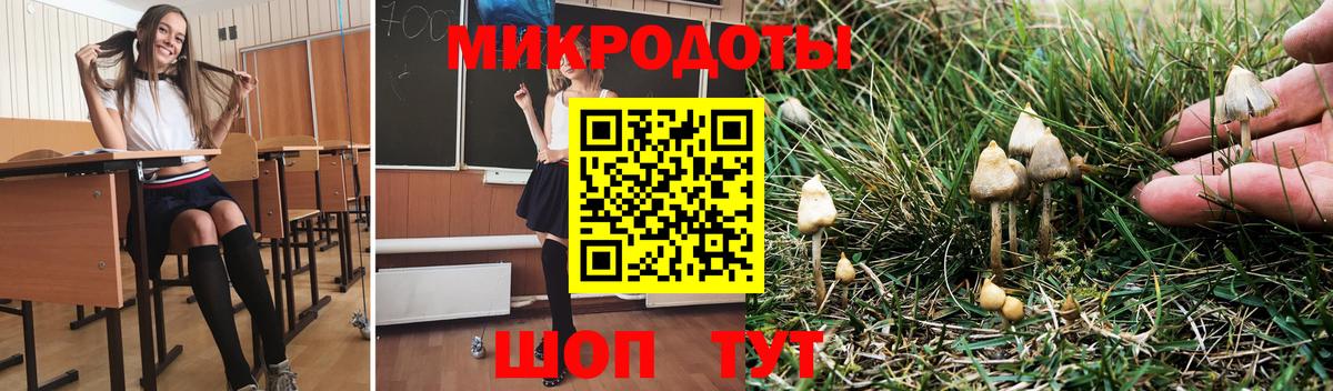 Галлюциногенные грибы MAGIC MUSHROOMS Дербент