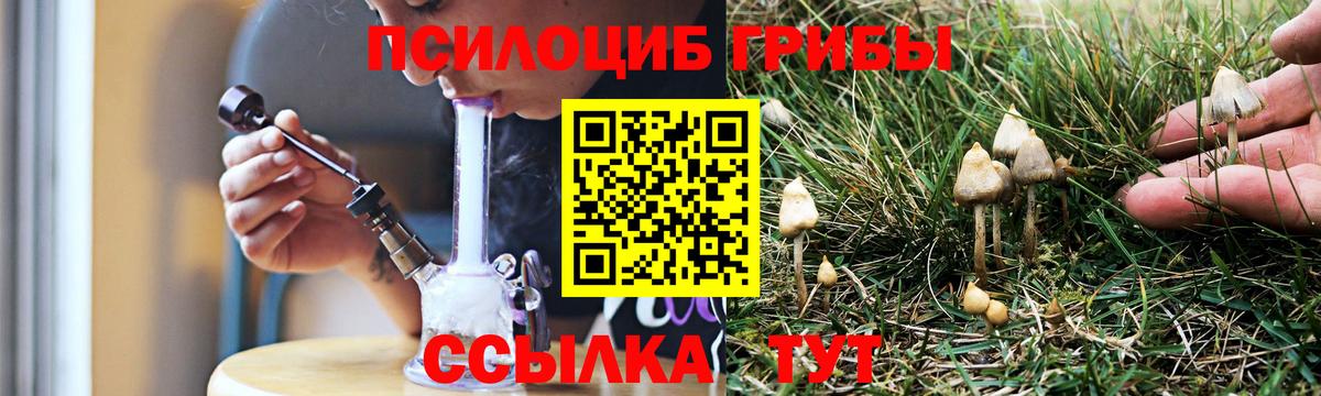 Дербент  Галлюциногенные грибы ЛСД  Вход с VPN 